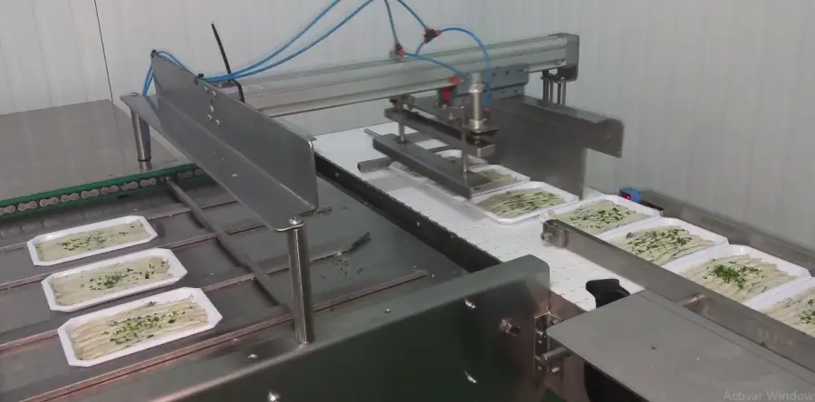 Introductor automático de envases a termoselladora automática